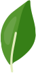 leaf1