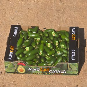 Alvocat baby o Còctel (+informació)